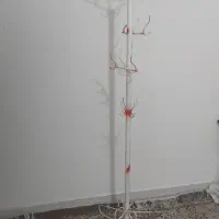 جا لباسی