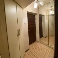 استخدام نیروی ساده