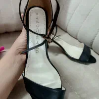 کفش مجلسی|کیف، کفش، کمربند|گنبد کاووس, |دیوار