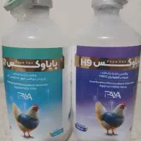 فروش غذا کبوتر