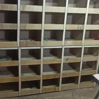 قفس جفت کن کبوتر