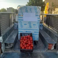 آبگیری گوجه در محل وبه صورت سیار