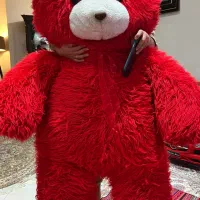 خرس خیلی بزرگ قرمز ۱۴۰ سانتی