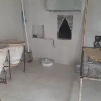 کارگر ساده واسه سنگک پزی