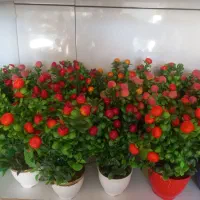گل مصنوعی کوچیک میوه‌ای