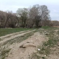 باغچه