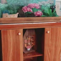 میز آکواریوم