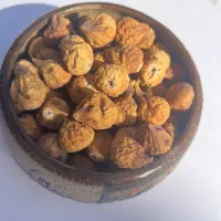 انجیر استهبان امساله|خوردنی و آشامیدنی|قم, کوه سفید|دیوار