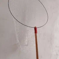 تور دستی کبوتر