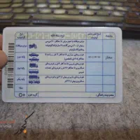 گواهینامه گم کردم