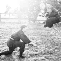 آموزش هنرهای رزمی|خدمات آموزشی|شوشتر, |دیوار