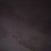 کارگرگچ کاروسفیدکارهستم