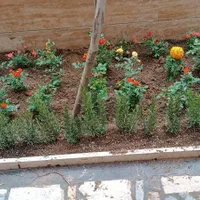 خدمات باغبانی کوددهی گلکاری کاشت گل هرس درختان|خدمات باغبانی و درختکاری|اسلام‌شهر, شهرک قائمیه|دیوار