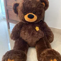 دو عدد خرس عروسکی وارداتی