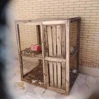 قفس مرغ و خروس و پرنده