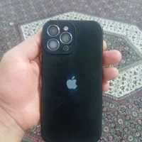 13پرومکس