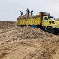 پوشال پنبه|عمده‌فروشی|محمدشهر, محمدشهر|دیوار