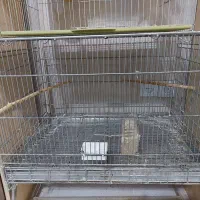 فروش قفس غلامی سایز ۶۴