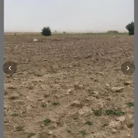 فروش دو قطعه زمین کشاورزی در خرمنلر روستای پیرنق|فروش زمین و ملک کلنگی|نیر (اردبیل), |دیوار