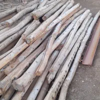 تیره،چوب،تخته