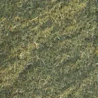 کاه ویونجه کوبیده شده