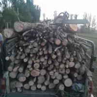 خرید انواع درخت وچوب و هرس|خدمات باغبانی و درختکاری|گلپایگان, |دیوار