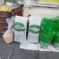 تخمه آفتابگردان تازه وامسالی|خوردنی و آشامیدنی|تهران, تهرانسر شمالی|دیوار