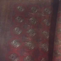 فروش فرش ترکمن دستباف قدیمی|فرش|چالوس, |دیوار