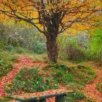 زمین شیب دار دربالاترین نقطه کلاردشت (بام کلاردشت)