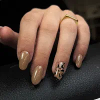 مدل کاشت ناخن بصورت رایگان|خدمات آرایشگری و زیبایی|لاهیجان, شیشه گران|دیوار