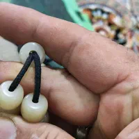 تسبی سندلوس استخوانی