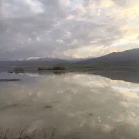 پارکینگم گه‌رکه اجاره