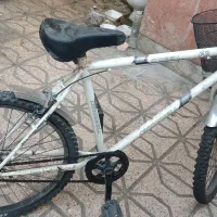 دوچرخه 26|دوچرخه، اسکیت، اسکوتر|مشهد, محمدآباد|دیوار