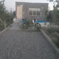 باغچه-فروشی