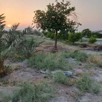 فروش زمین