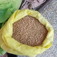 فروش نخود امسال