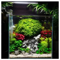 آکواریوم شیشه خم|ماهی|تهران, تهرانسر مرکزی|دیوار