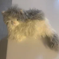 عروسک گربه نیم متری خارجی