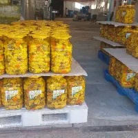 ترشی گل کلم 10 و 2/5 کیلو