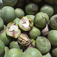 گردو اعلا