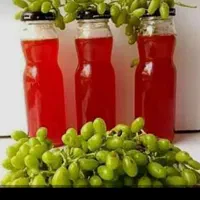 ابغوره تازه