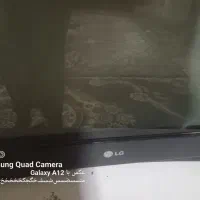 ۸۰۰|تلویزیون و پروژکتور|کرمان, |دیوار