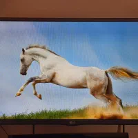 LG TV 32 inch|تلویزیون و پروژکتور|مهاباد (آذربایجان غربی), |دیوار