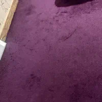 پالاز موکت|موکت|همدان, |دیوار