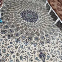 تعدادی فرش فوری (معاوضه)