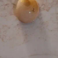 نگین سلیمانی
