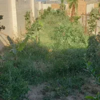 باغبانی