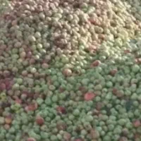 خریدار سیب ضایعات|خدمات باغبانی و درختکاری|میانه, |دیوار