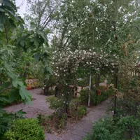 زمین ( مجتمع کشاورزی عصر کمیل )|فروش دفتر صنعتی، کشاورزی، تجاری|خاوران, |دیوار