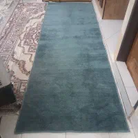 کناره سبزیشمی جنس خوب پرگوشت ابعاد1×10در3متر